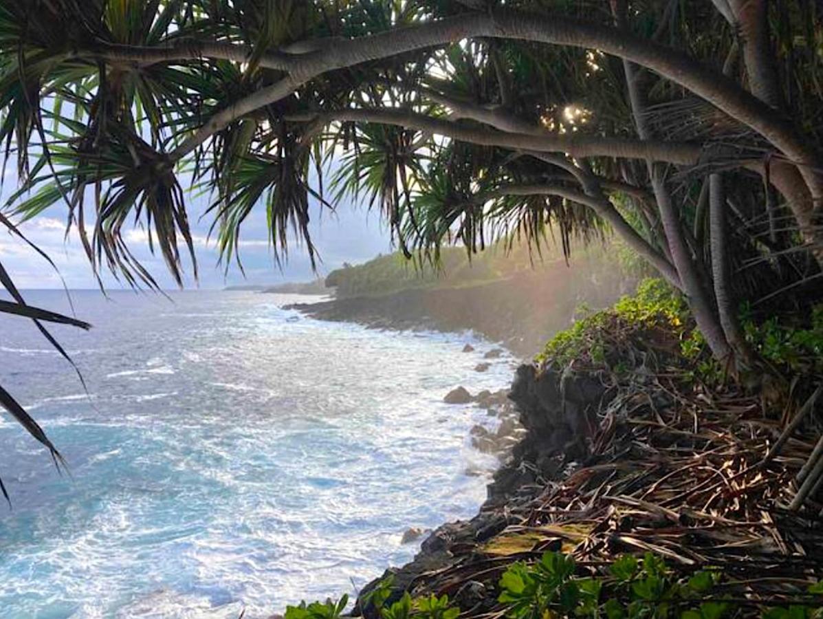 Seaside House And Aloha Bungalow Pahoa Kültér fotó
