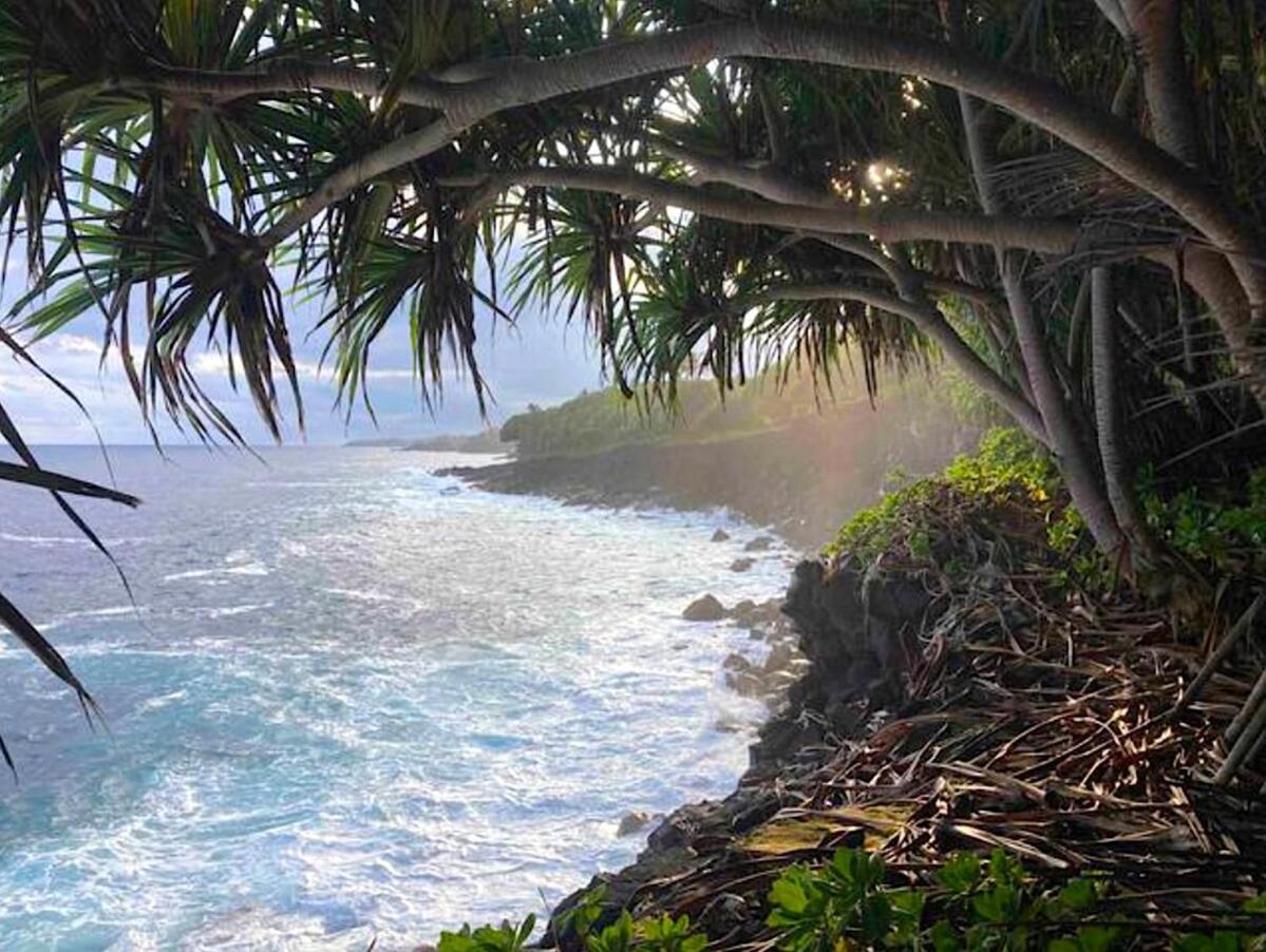 Seaside House And Aloha Bungalow Pahoa Kültér fotó